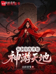 从洞房夜开始神游天地